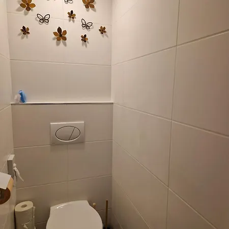 Silver Zsory Ii. Apartment Mezokovesd